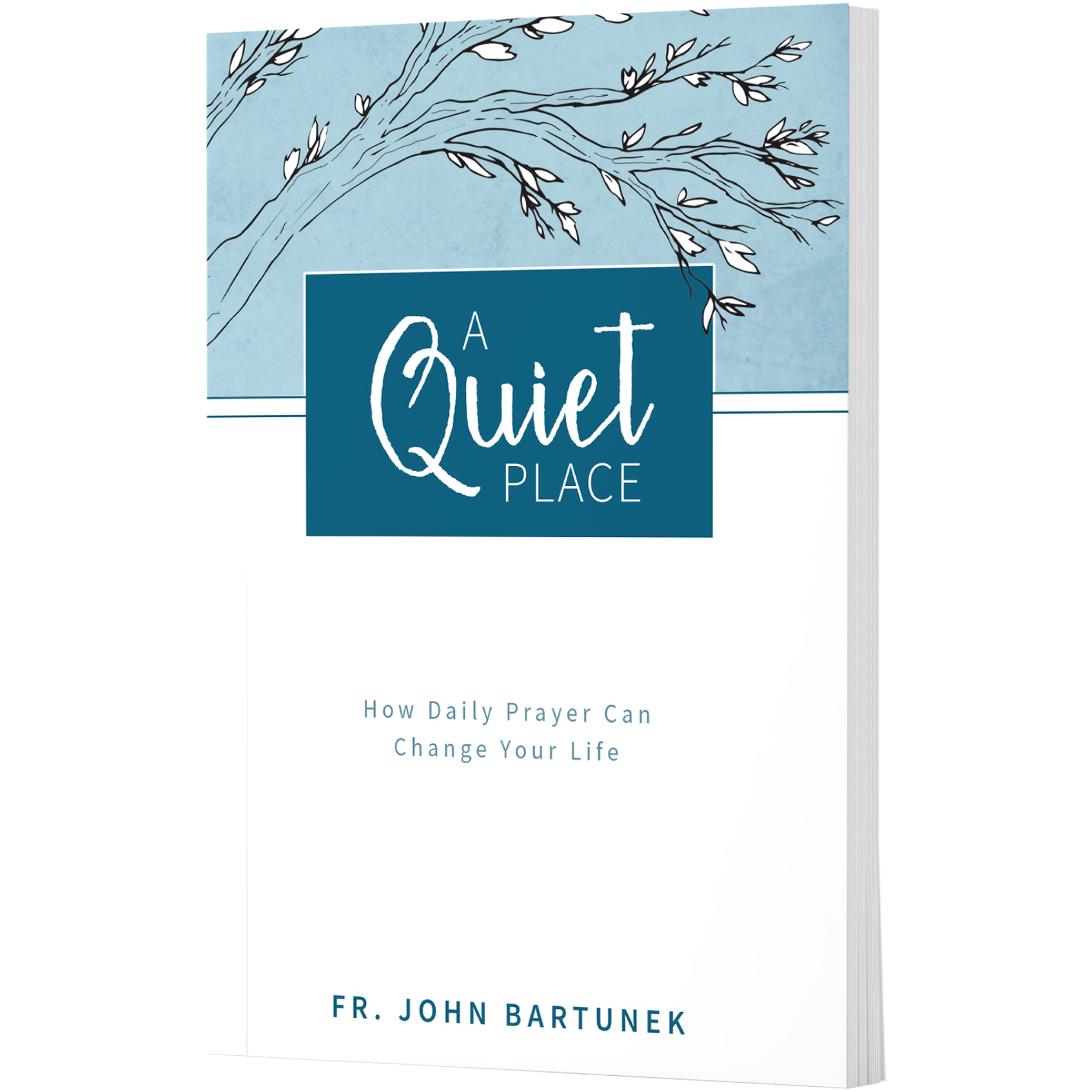 buy-a-quiet-place-by-john-bartunek-dynamic-catholic